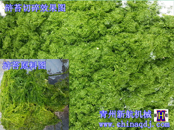  滸苔粉碎對比圖